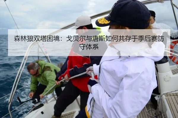 森林狼双塔困境：戈贝尔与唐斯如何共存于季后赛防守体系